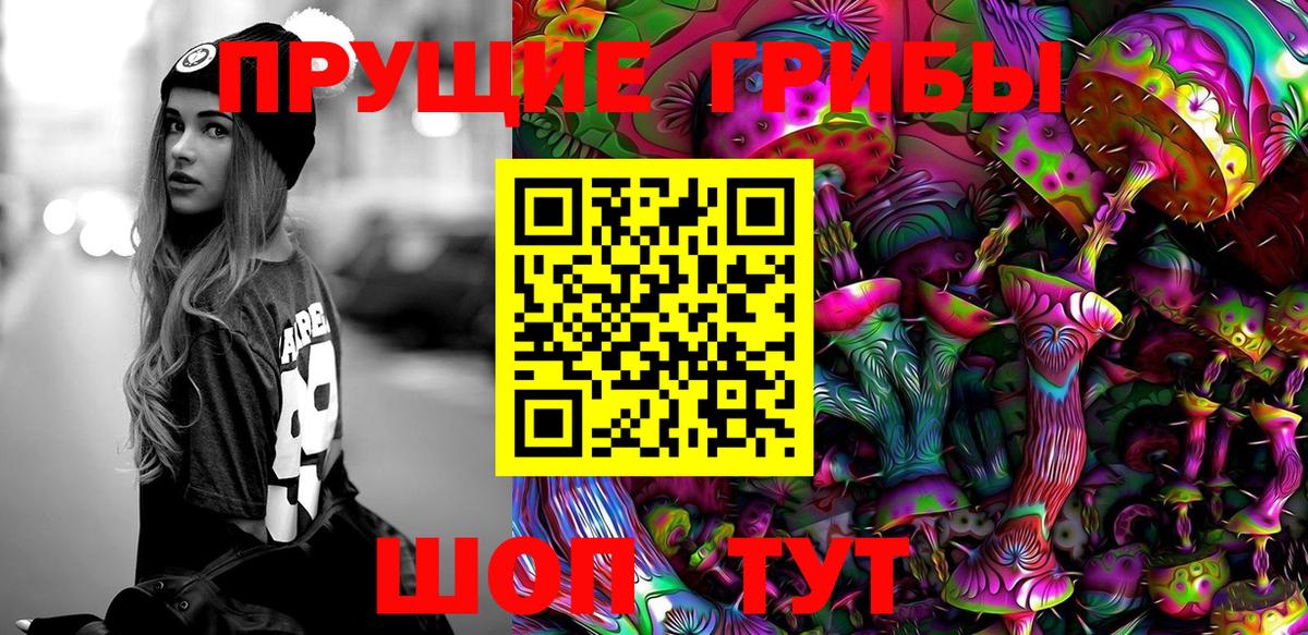 Галлюциногенные грибы Cubensis  купить наркоту  Псилоцибиновые грибы Psilocybe  Гурьевск  Вход с VPN 